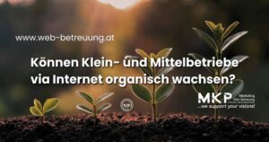 Können Klein- und Mittelbetriebe via Internet organisch wachsen? | MKP Marketing und Web-Betreuung