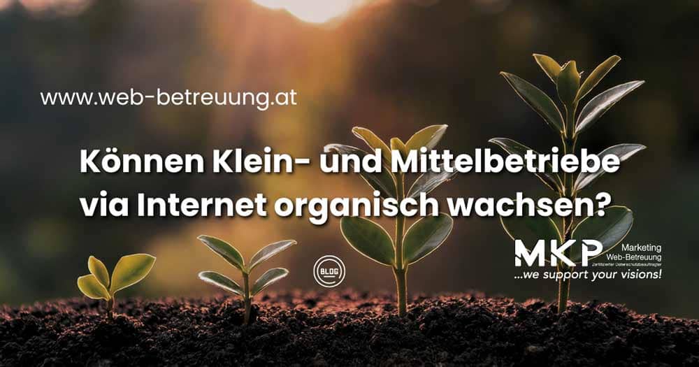 Können Klein- und Mittelbetriebe via Internet organisch wachsen? | MKP Marketing und Web-Betreuung