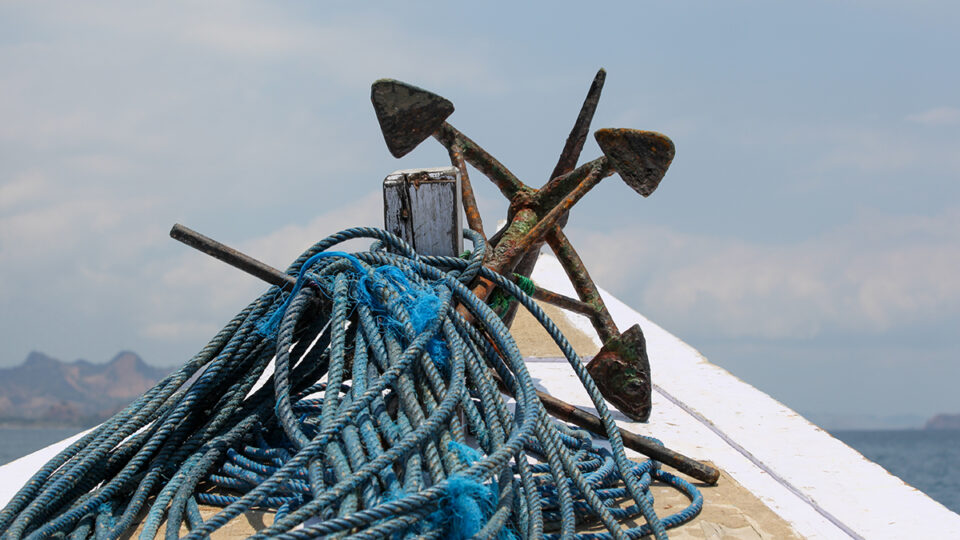 Komodo | Boat
